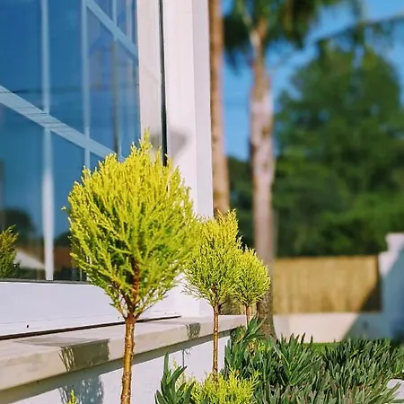 The Palm House Villa Ovar Exterior photo
