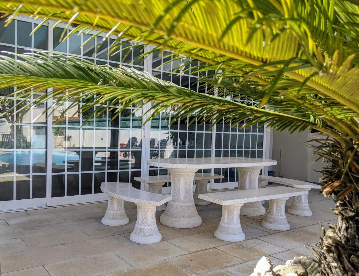 The Palm House *